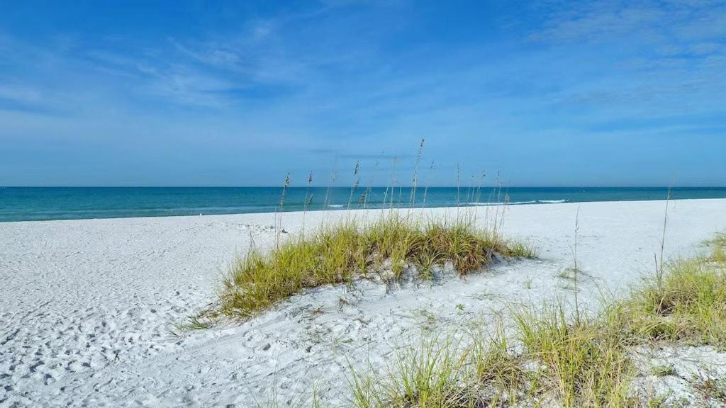 Beach Palms- Unit 102 Clearwater Beach Extérieur photo